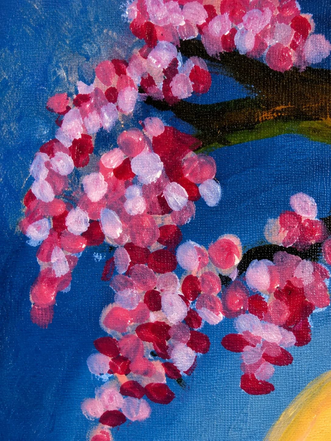 Cherry Blossom